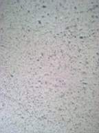 ballynonty 5460.jpg